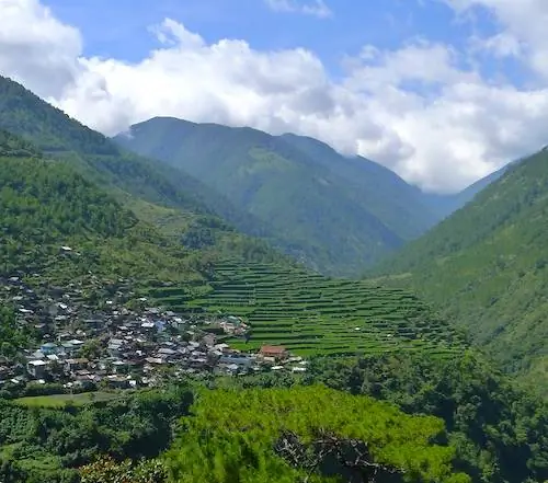 Рисовые террасы в Бонток