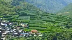 Остановка на рисовых террасах Бай-йо в Бонтоке