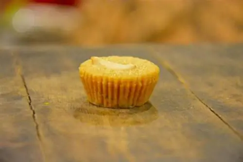 чайная ложка пирога с кешью соло