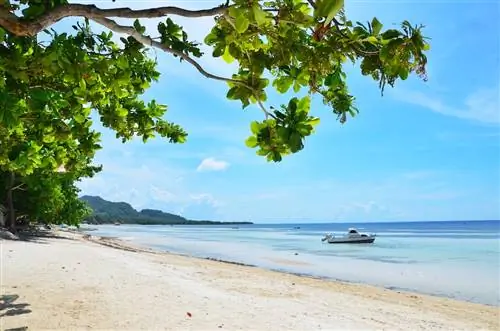 Откройте для себя красивый город Анда на Бохоле: PHILTOA Bohol Famtour, день 2