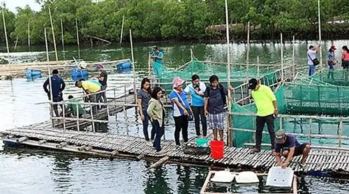 SEAFDEC в Тигбауане
