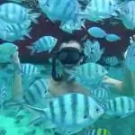 Изображение Изображение
