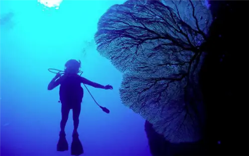 Дайвинг на Гуаме