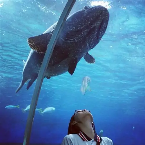 Бюджетные места для путешествий в метро Манилы