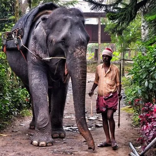 Тропа Таскер в Теккади, Керала
