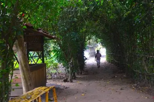 Вход на тропу Таскера