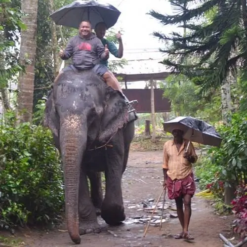 Поездка на слоне в Теккади, Керала