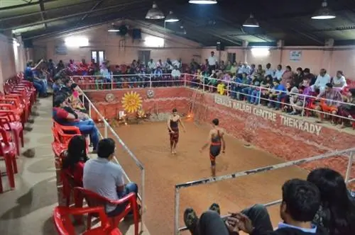 Керала Центр Калари в Теккади