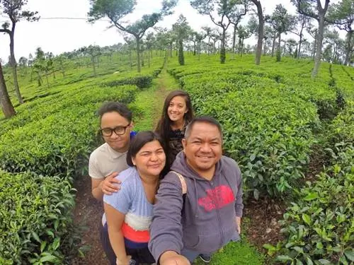 Остановка на чайной плантации.