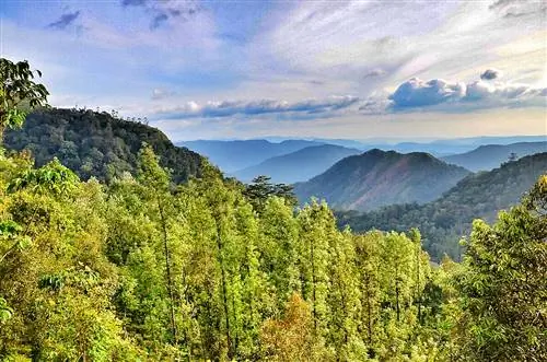 Приезжайте в Кералу: исследуйте волшебные высокогорья Кералы – Теккади