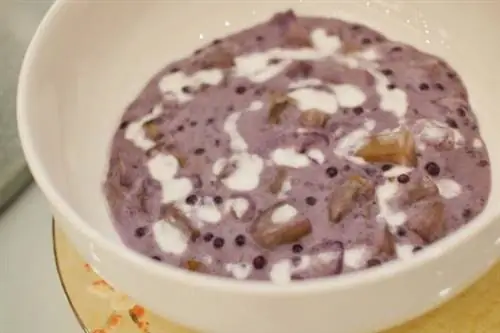 Гинатаанг Било Било