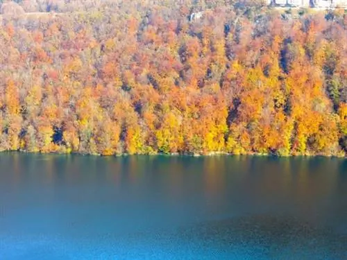 Лак де Шален