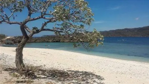 Остров Силад в Булалакао, фотография через Tripadvisor