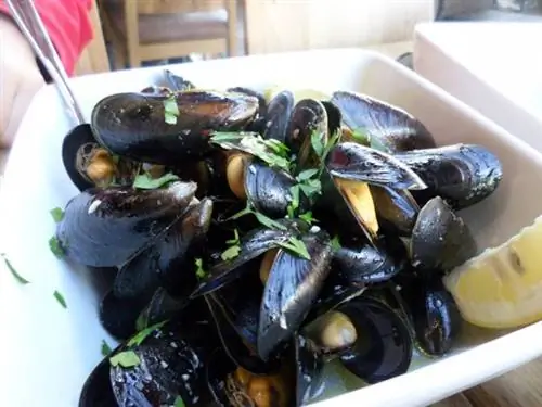 Рынок морепродуктов в Бергене