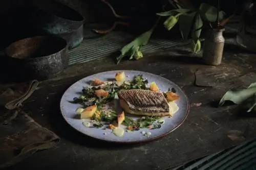 Сибас и зеленый чай