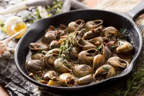 Рагу из испанских улиток в характерном для региона соусе «вискайна», приготовленном из красного лука и пюре из перца чорицеро.