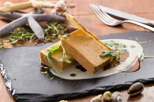 Рыбный пирог в деревенском стиле по-баскски