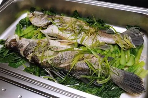 Песанг Апахап