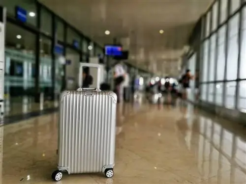 Обзор чемодана Rimowa Topas MULTIWHEEL объемом 64,01 литра