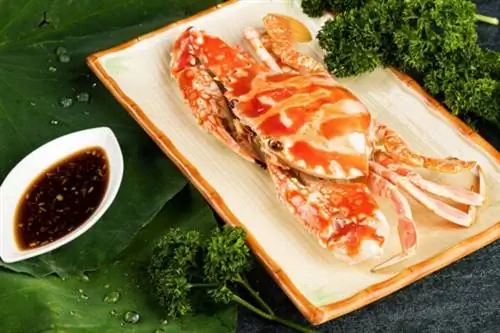 Красный коралловый краб