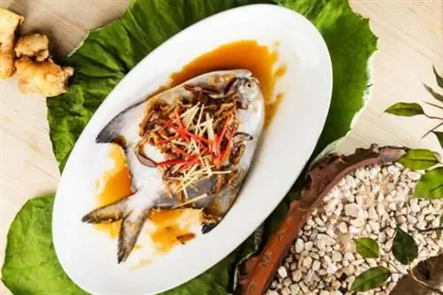 Пропаренный серебряный помфрет