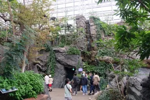 Вход в аквариум Осаки