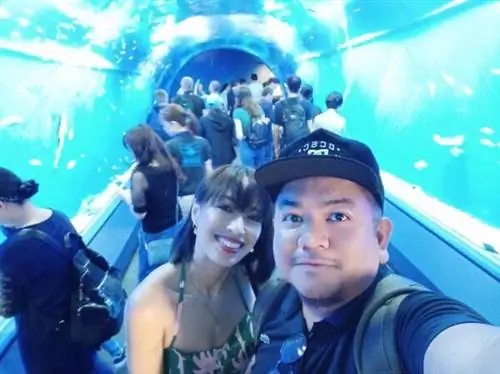 Фотография внутри туннеля аквариума Осаки