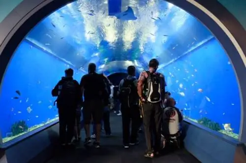 Туннель в аквариуме Кайюкан в Осаке