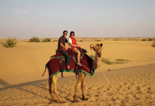 Жить, чтобы путешествовать по Индии