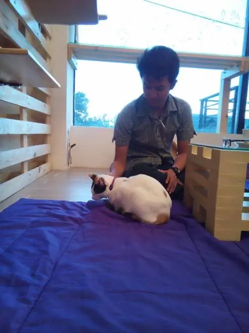 посетитель и линглинг