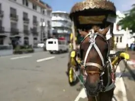 Huawei P9 в боке