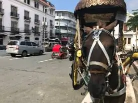 iPhone 7 Plus в боке