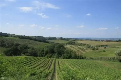 Фото тура на целый день по Сиене через KLOOK