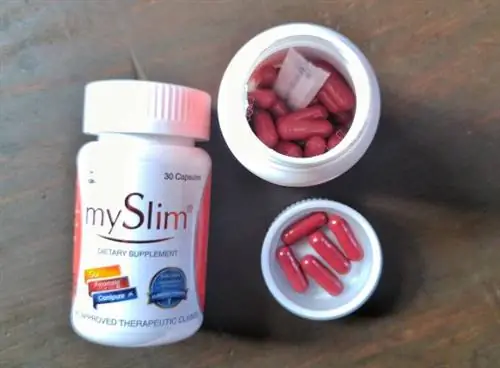 MySlim Пищевая добавка для похудения в капсулах