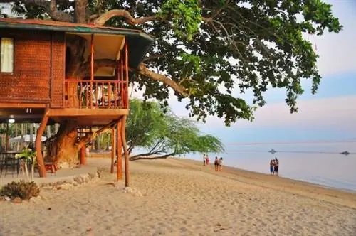 Дом на дереве в курортном отеле Laiya Coco Grove