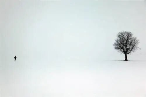 Человеческий элемент в ваших фотографиях