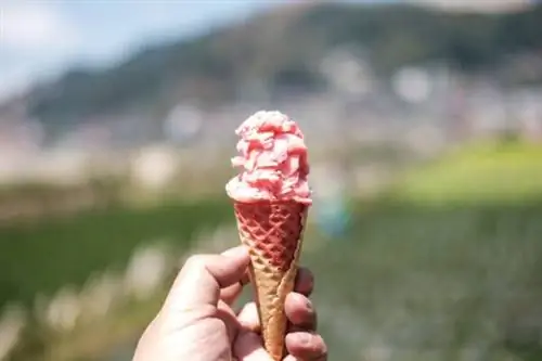Земляничное мороженое