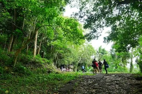 Вокруг Бикола в 30 тарелках: Bicol Food Adventure, день 3