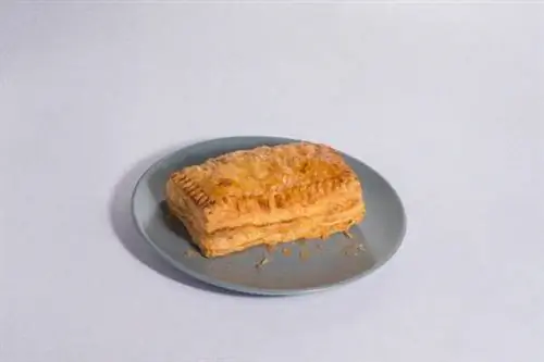 Оборот Лехона Себу Пасифик