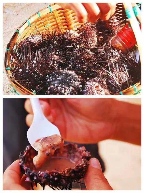 Морской еж Кто-нибудь?