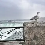 Изображение Изображение