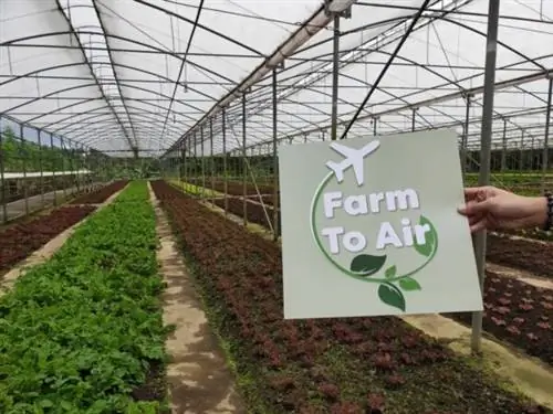 AirAsia Farm to Air Обеденный опыт