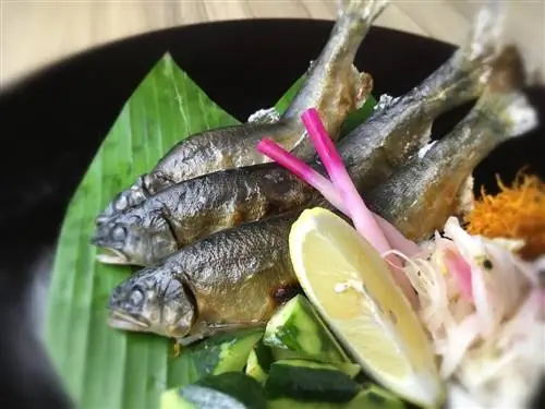 Китсё представляет летнюю кухню с помощью Yukata Challenge