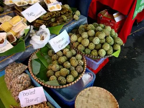 Пиной Каканин и фрукты на выходном рынке Легаспи