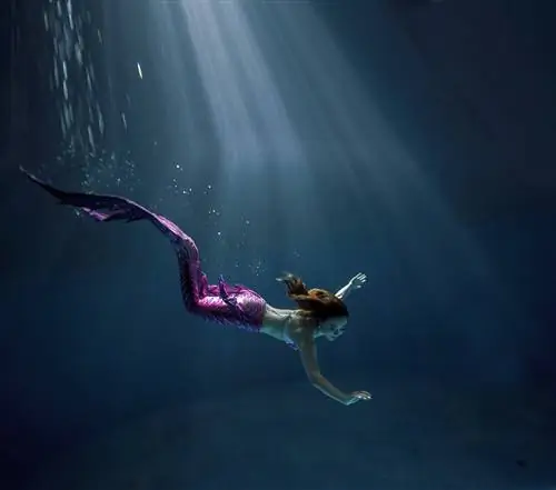 Дайверы-рекордсмены и русалки на выставке PHL International Dive Expo