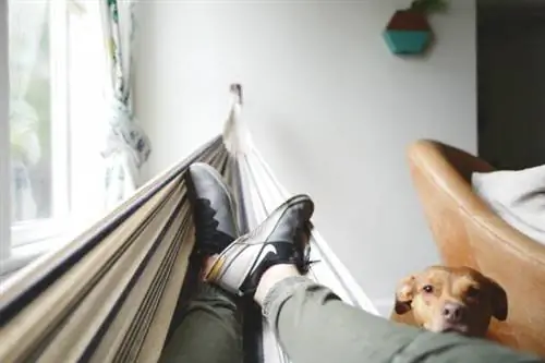Просто расслабься, Дрю Коффман через Unsplash