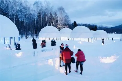 Ледяная деревня ночью