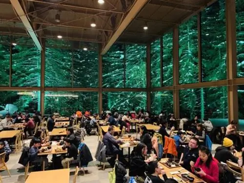 Лесной ресторан Нининупури