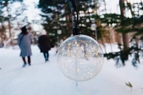 Путь в зимнюю страну чудес
