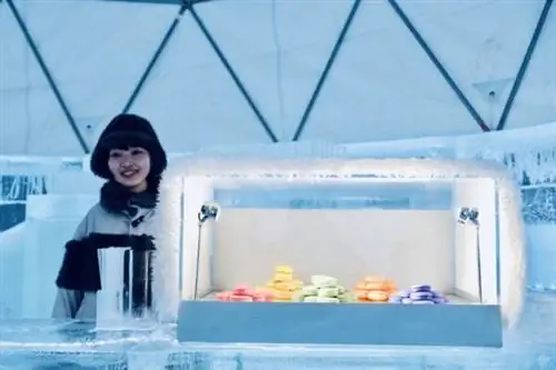 Ледяное кафе